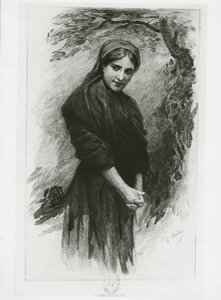 Colomba, illustration från 